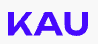 Kazakh-American University